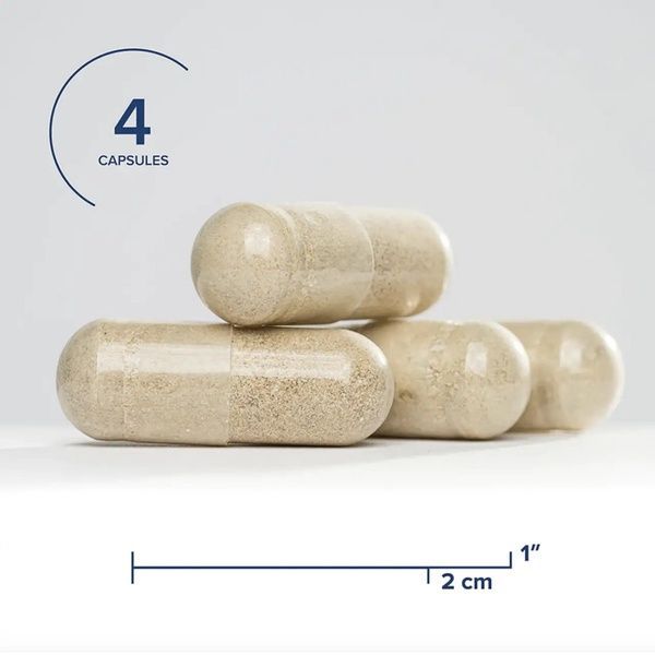 Поживні речовини для жовчі, Bile Nutrients, Seeking Health, 120 капсул,  Seeking Health фото