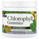 Хлорофіл, смак м'яти, Chlorophyll Gummies, Nature's Answer, 60 жувальних цукерок,  Nature's Answer фото 2