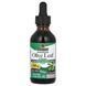 Экстракт листьев оливы без спирта, 1500 мг, Olive Leaf Extract, Nature's Answer, 60 мл,  Nature's Answer фото 1
