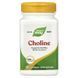 Холин, 500 мг, Choline, Nature's Way, 100 веганских таблеток,  Nature's Way фото 4