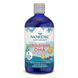 Риб'ячий жир (ДГК) для Дітей, зі Смаком Полуниці, Children's DHA, Strawberry, Nordic Naturals, 473 мл,  Nordic Naturals фото 1