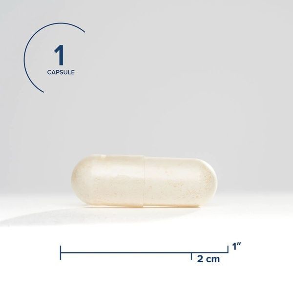 Комплекс пробіотиків, 10 млрд КУО, ProBiota HistaminX, Seeking Health, 60 вегетаріанських капсул,  Seeking Health фото