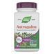 Астрагал, преміум екстракт, Astragalus, Premium Extract, Nature's Way, 60 вегетаріанських капсул,  Nature's Way фото 7