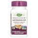 Астрагал, преміум екстракт, Astragalus, Premium Extract, Nature's Way, 60 вегетаріанських капсул,  Nature's Way фото 1