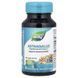 Астрагал, преміум екстракт, Astragalus, Premium Extract, Nature's Way, 60 вегетаріанських капсул,  Nature's Way фото 3