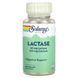 Лактаза, 40 мг, Lactase, Solaray, 100 вегетаріанських капсул,  Solaray фото 1