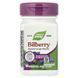 Черника, премиум экстракт, Bilberry, Premium Extract, Nature's Way, 60 вегетарианских капсул,  Nature's Way фото 7