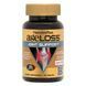 Підтримка Суглобів, AgeLoss Joint Support, NaturesPlus, 90 таблеток,  Natures Plus фото 1