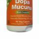 УЦІНКА Мукуна Гаряча, Dopa Mucuna, Now Foods, 90 капсул (вм'ятина),  Now Foods фото 1