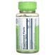 Фенхель, 450 мг, Fennel, Solaray, 100 вегетаріанських капсул,  Solaray фото 2