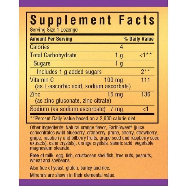Цинк 15 мг, Смак Апельсину, EarthSweet Chewables, Bluebonnet Nutrition, 60 таблеток для розсмоктування,  Bluebonnet Nutrition фото