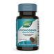 Пикногенол, Экстракт Сосновой Коры, Pycnogenol, Pine Bark Extract, Nature's Way, 50 мг, 30 Таблеток,  Nature's Way фото 6
