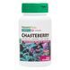 Плоды Авраамового Дерева 150 мг, Herbal Actives, Natures Plus, 60 вегетарианских капсул,  Natures Plus фото 1