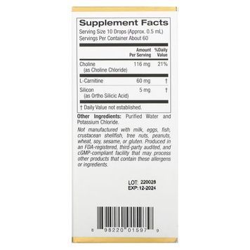 Комплекс холина и кремния для поддержки волос, кожи и ногтей, Choline Silica Complex, California Gold Nutrition, 30 мл,  California Gold Nutrition фото