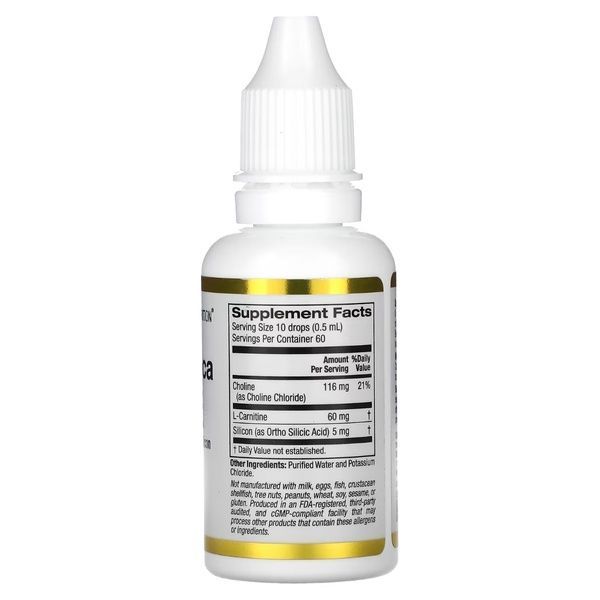 Комплекс холина и кремния для поддержки волос, кожи и ногтей, Choline Silica Complex, California Gold Nutrition, 30 мл,  California Gold Nutrition фото