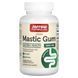 Смола Мастикового Дерева, Mastic Gum, Jarrow Formulas, 120 таблеток,  Jarrow Formulas фото 1