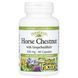 Конский каштан с виноградными косточками, 350 мг, HerbalFactors, Horse Chestnut with GrapeSeedRich, Natural Factors, 60 капсул,  Natural Factors фото 1
